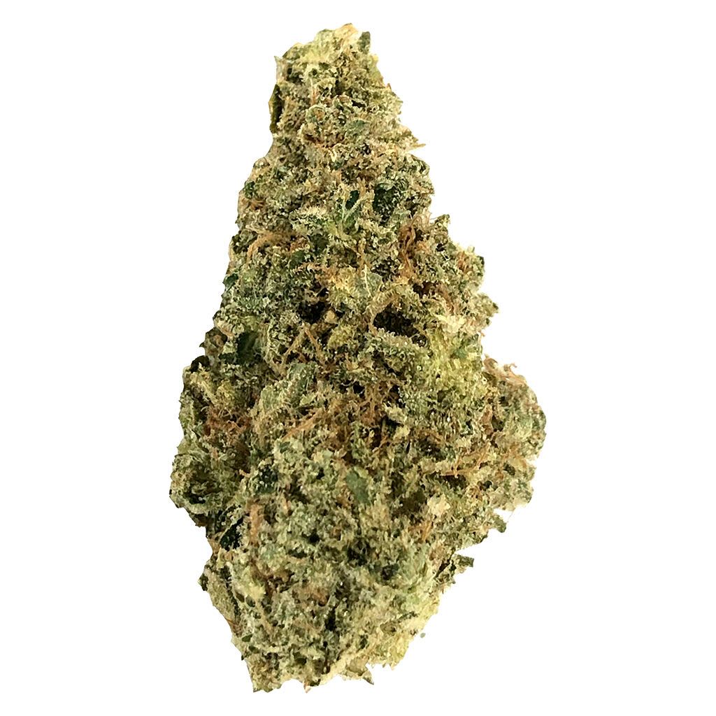 AAA+ Indica (Jealousy x LPC #75) 28g <br>Indica <br>27.8% | 2.2% Terps