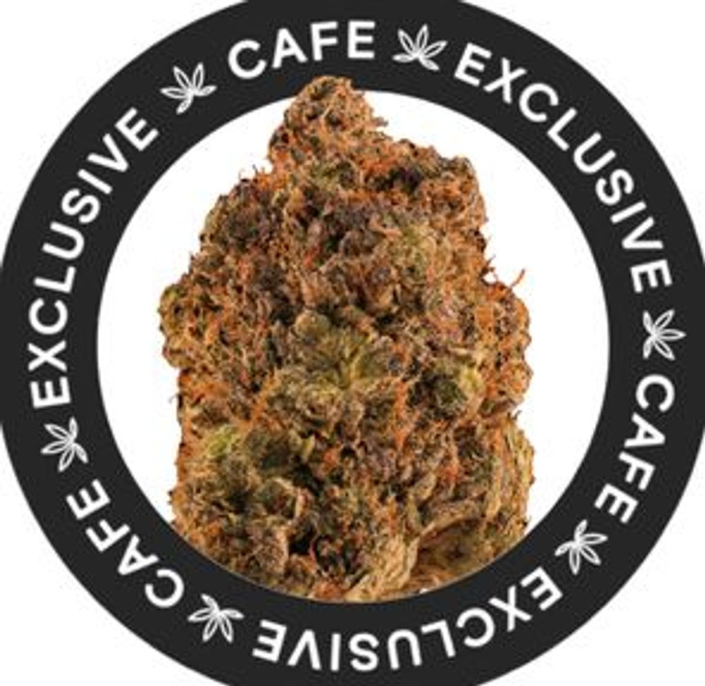 7G CAFE EXCLUSIVES- PINK PERIGNON