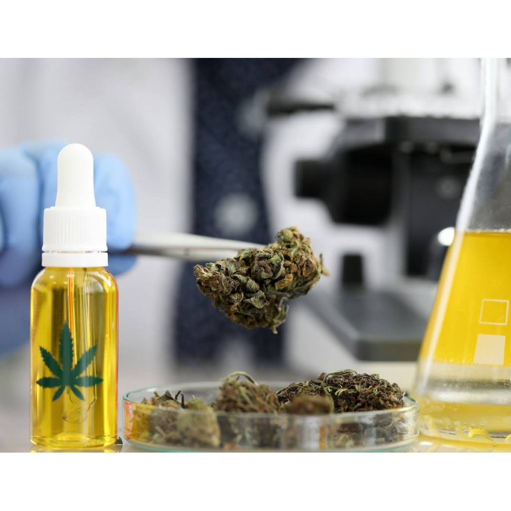 What Do Cannabinoids Do To The Body?