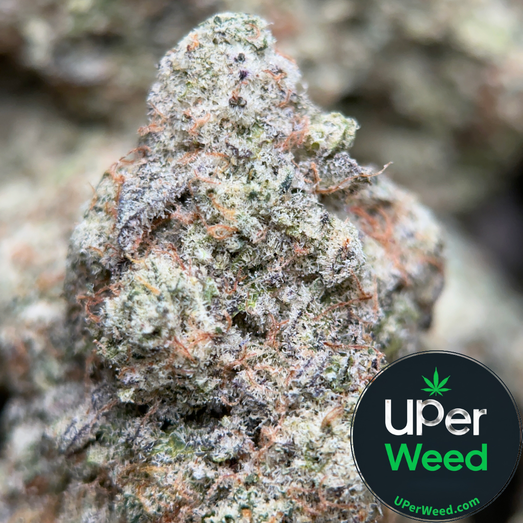 (28G) - Phoenix Haze 🐦‍🔥 Sativa - 2 Oz Left