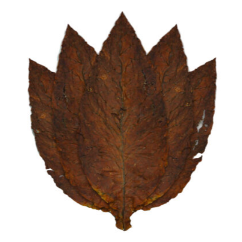 Red Rose Grabba Leaf 14g Pre Pack the Vault Cannabis Co. Leafythings