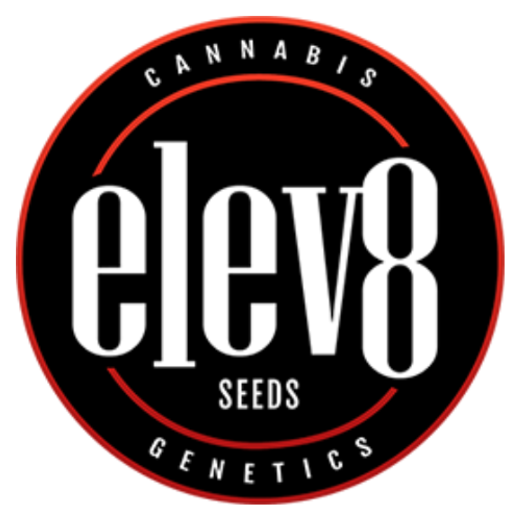  Elev8 Seeds - Regular & Feminized