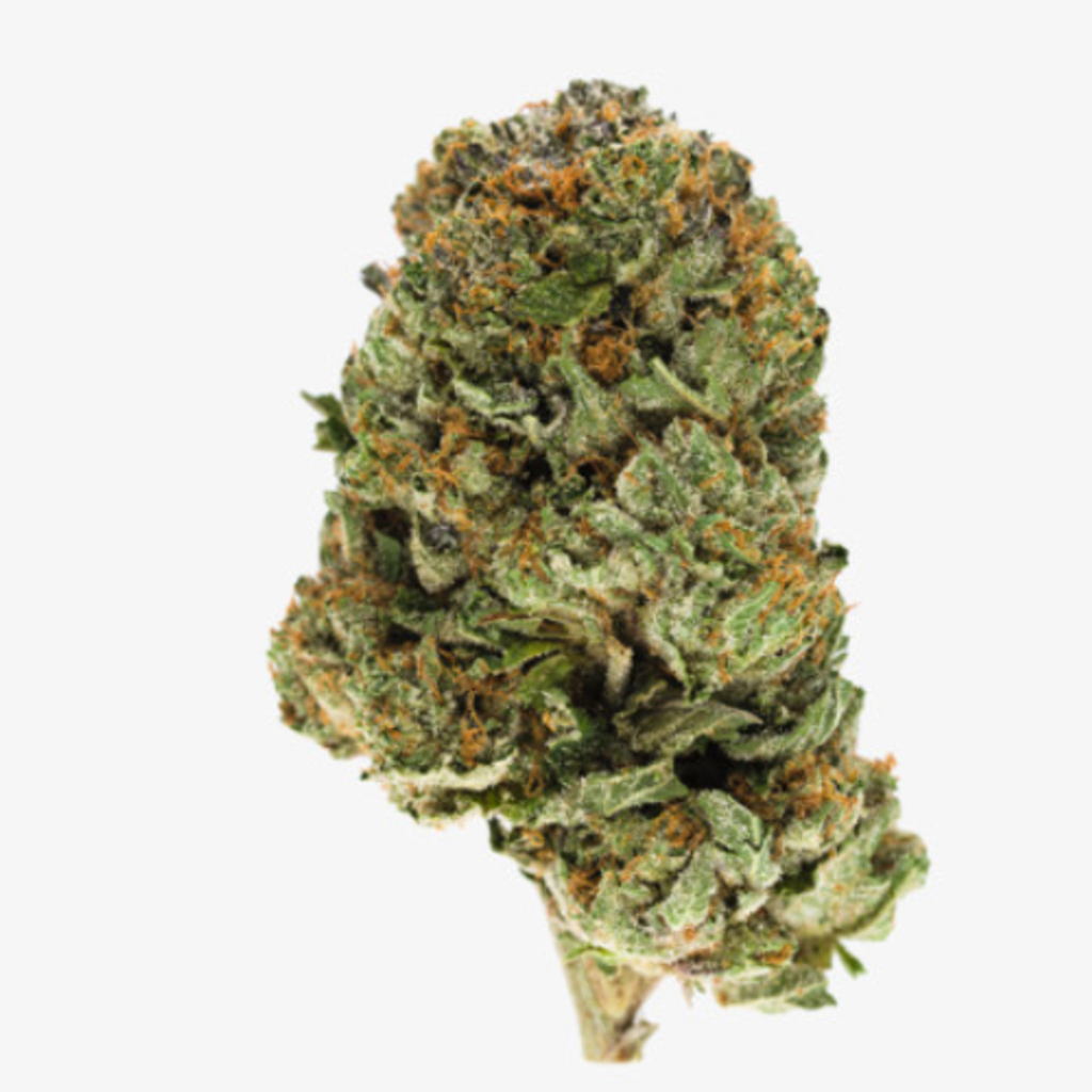 Gorilla Zkittlez (AA+) 