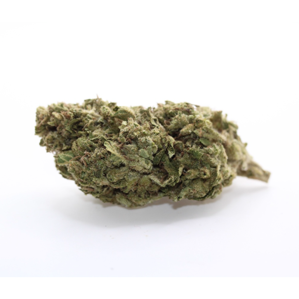 Comatose - AAA+