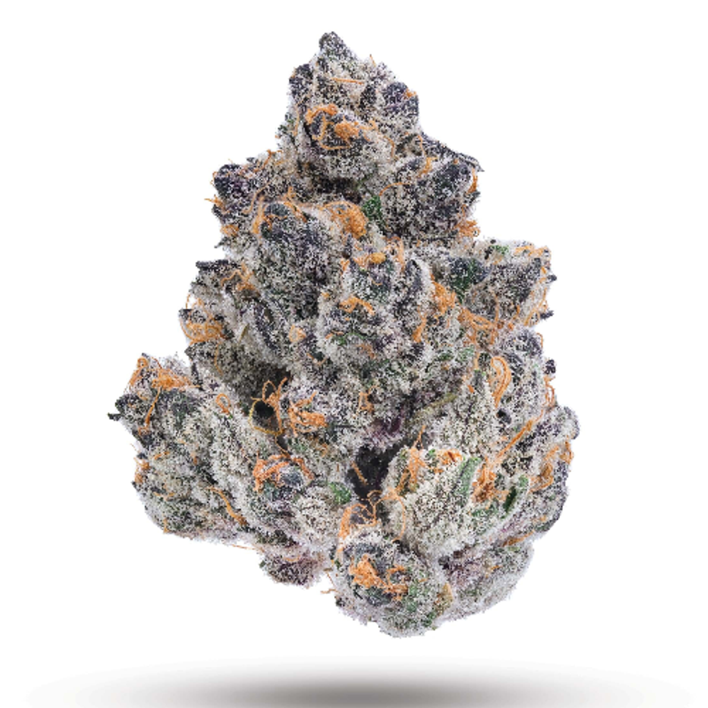 *Area 41 AAAA+ ( Top shelf )