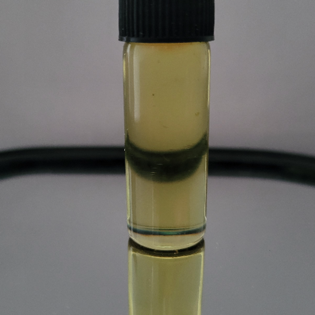 $100 Honey Oil 🍯 (5g) - THC Distillate 