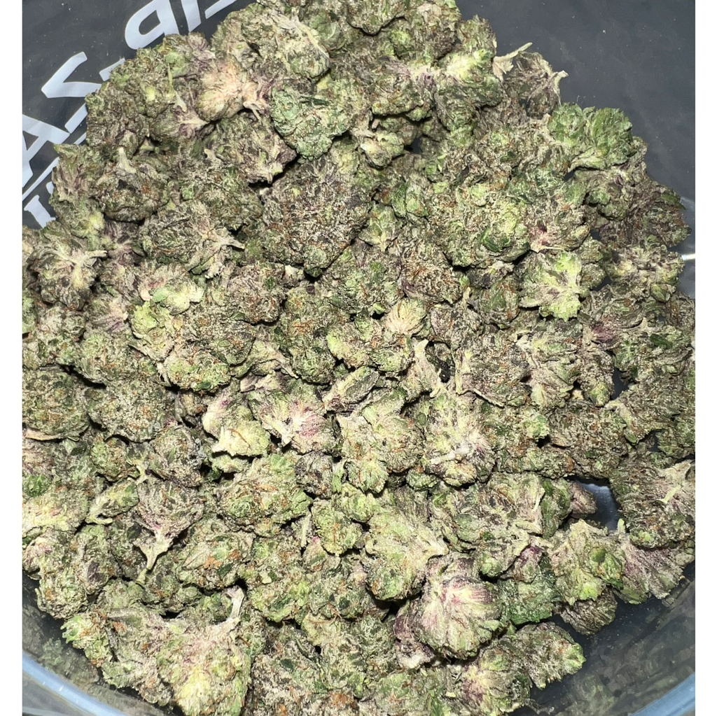 PINK MASTER KUSH  BC PICK 