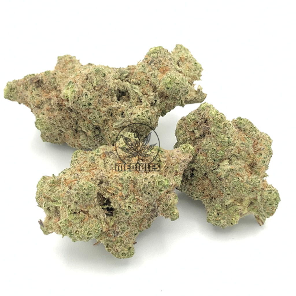 Indica Hybrid   MAC 1 