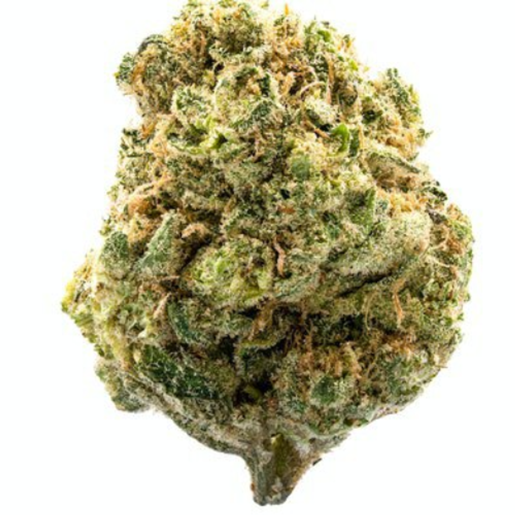 AAAAA** Pink Poncho(AAAAA)