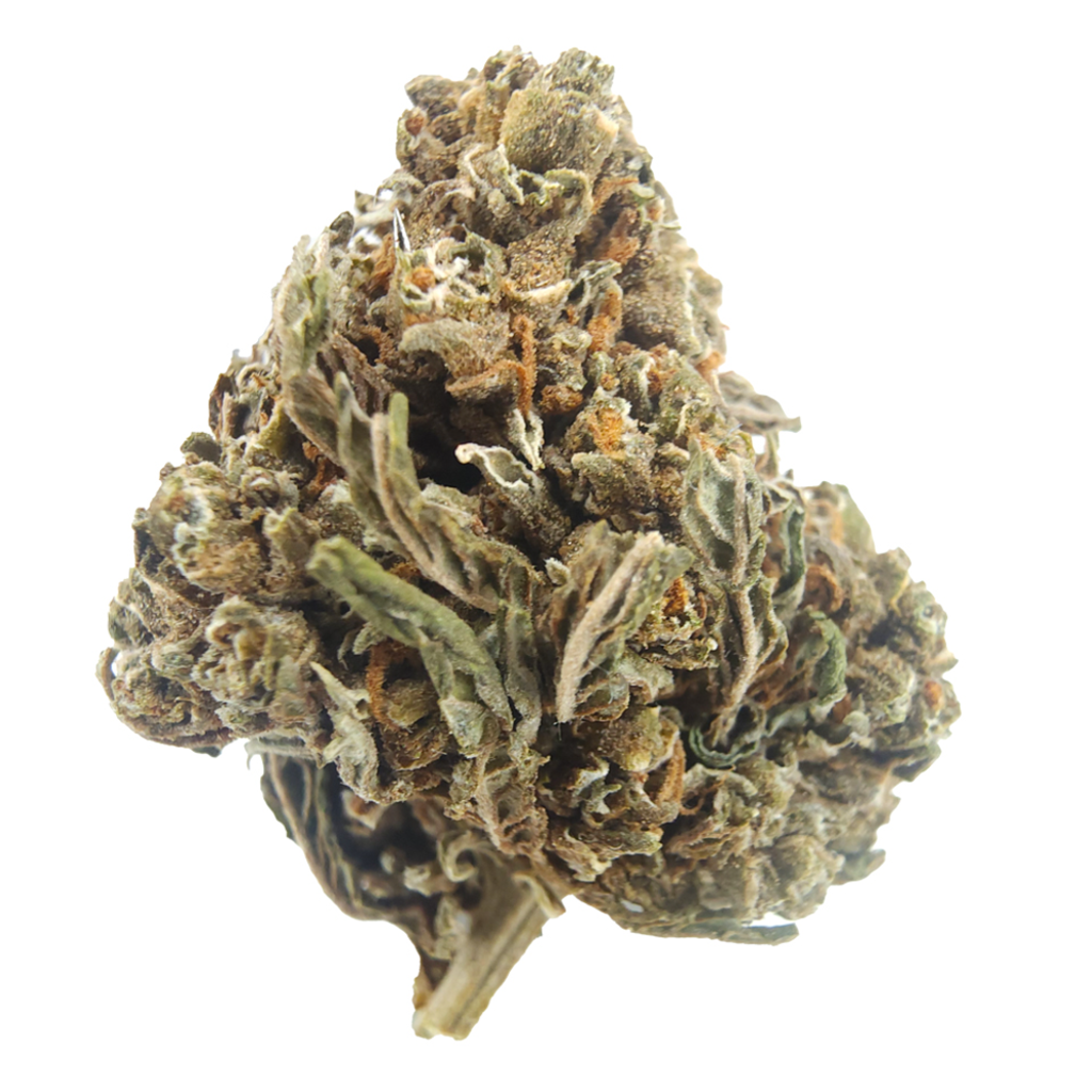 BC (AAA) PURPLE KUSH 