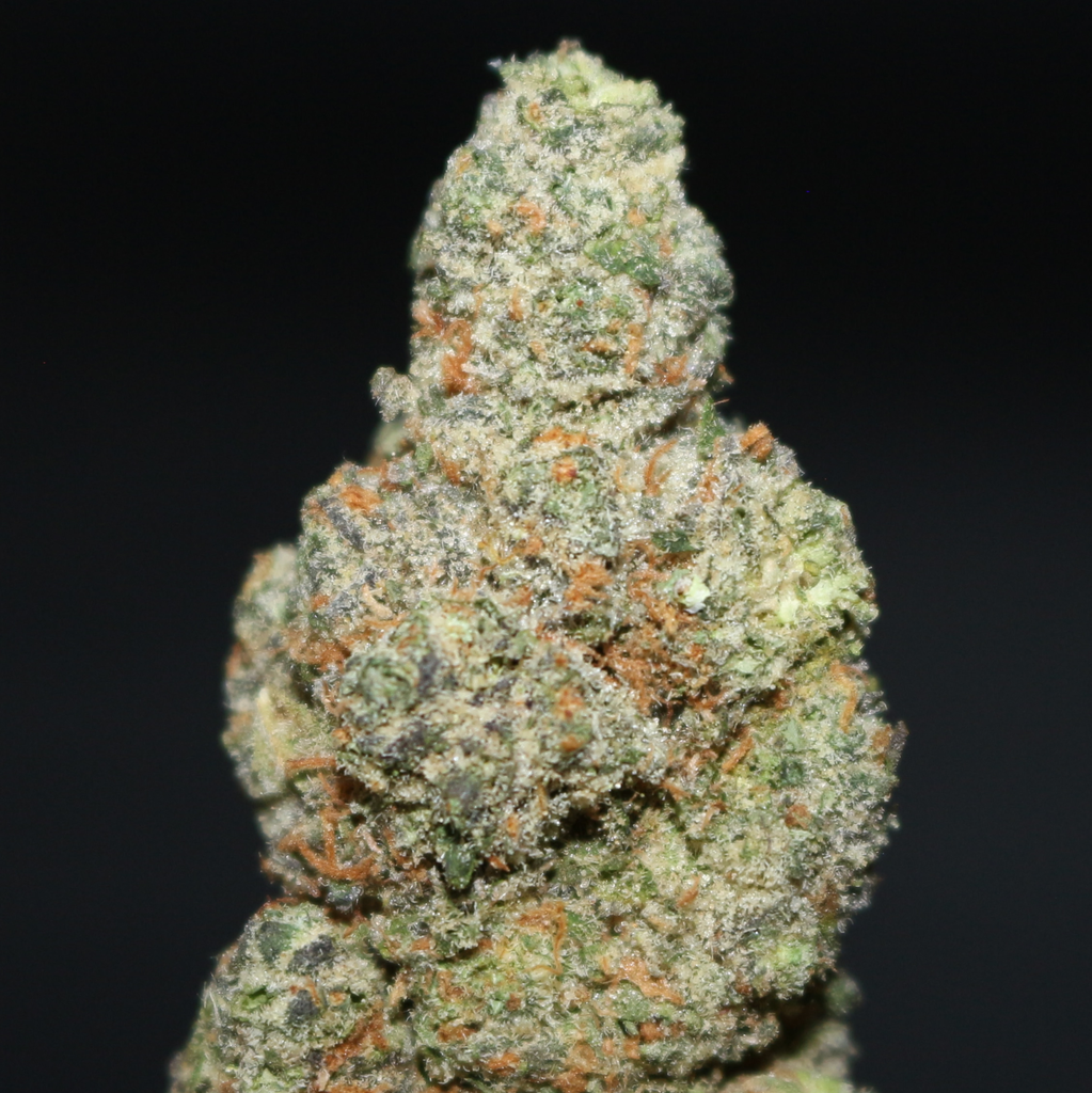 AAA+ | AIRHEADZ BY MTG GENETICS - 7G