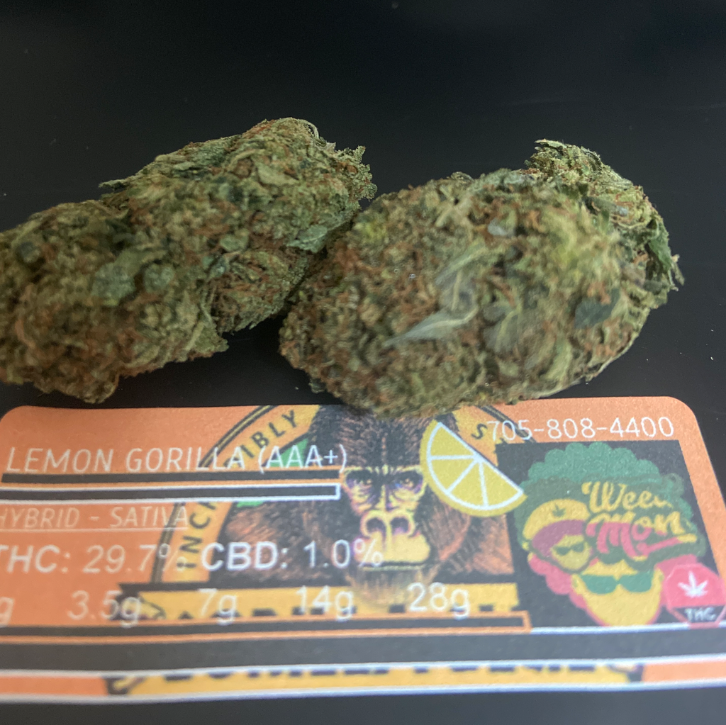 ***NEW $110/OZ*** Lemon Gorilla (AAA+) 29.7% THC 1.0% CBD