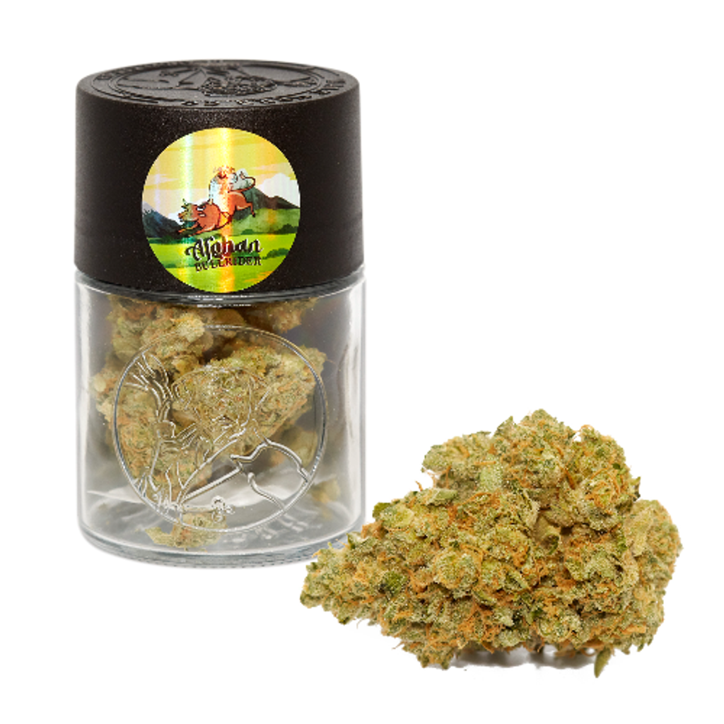 Afghan Bullrider by Waltz