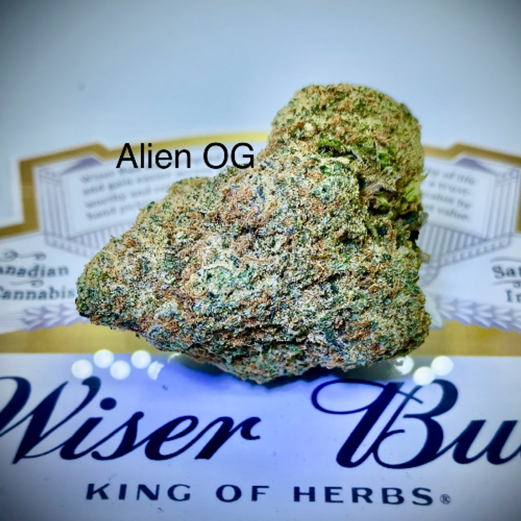 * ALIEN OG - Hybrid