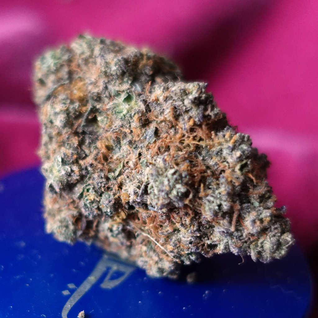 *NEW* JetLato (7g-$50/14g-$75/28g-$140)(30% THC)