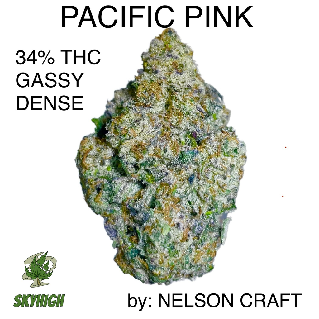 PACIFIC PINK AAAAA+ 33-34% THC - (2 OZ FOR $240) - PGR FREE