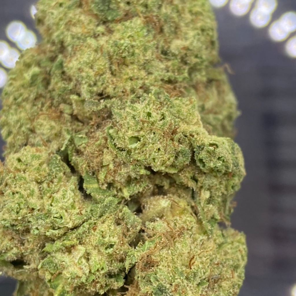 *NEW* Northern Wreck 3A