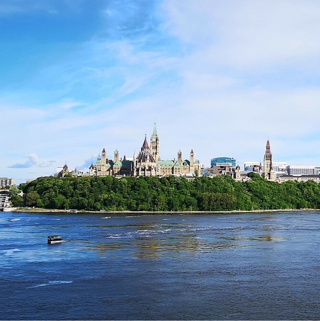 What First-Time Ottawa Buyers Forget Before Placing an Order