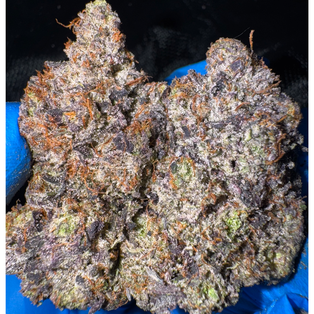 (NEW) LSO 12 Week Pink Goo AAAA+ (5*)