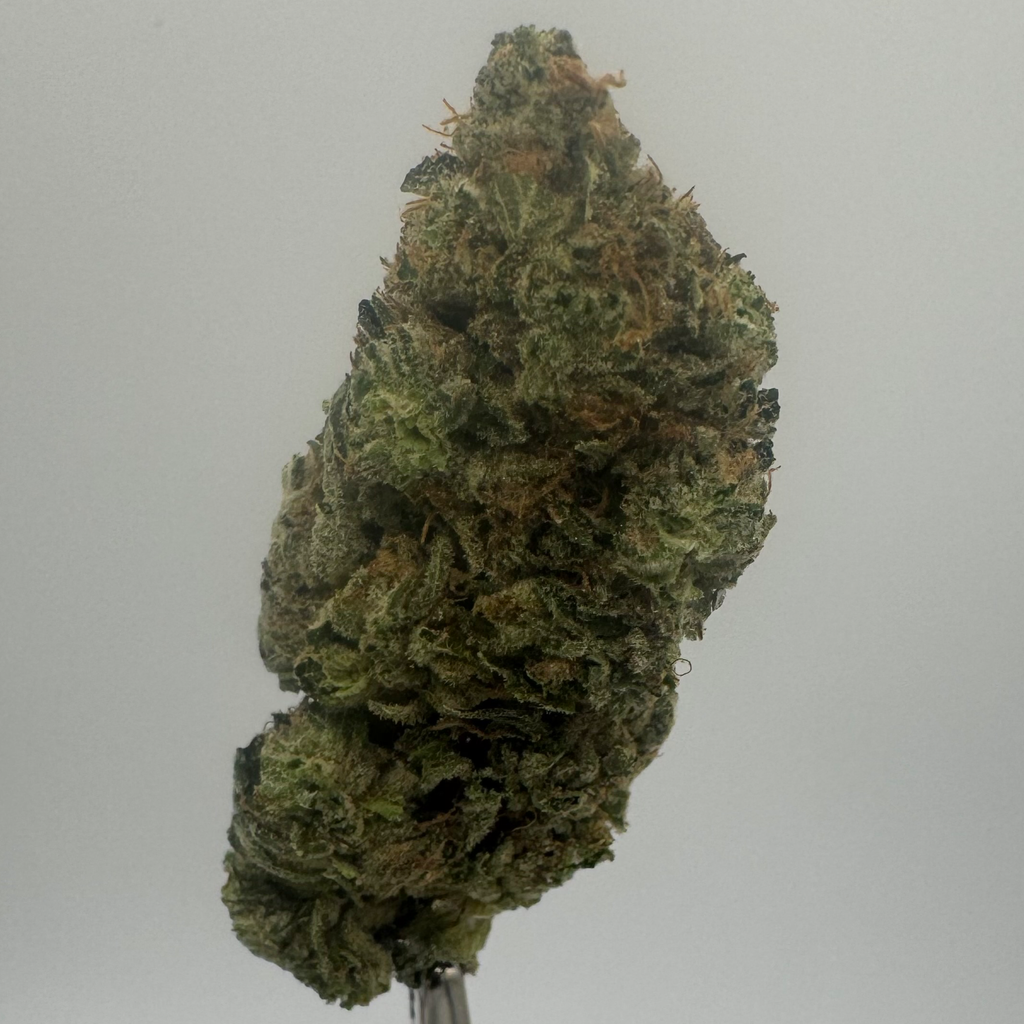 $40 FIRST TIME CUSTOMER SAMPLE PACK!!!