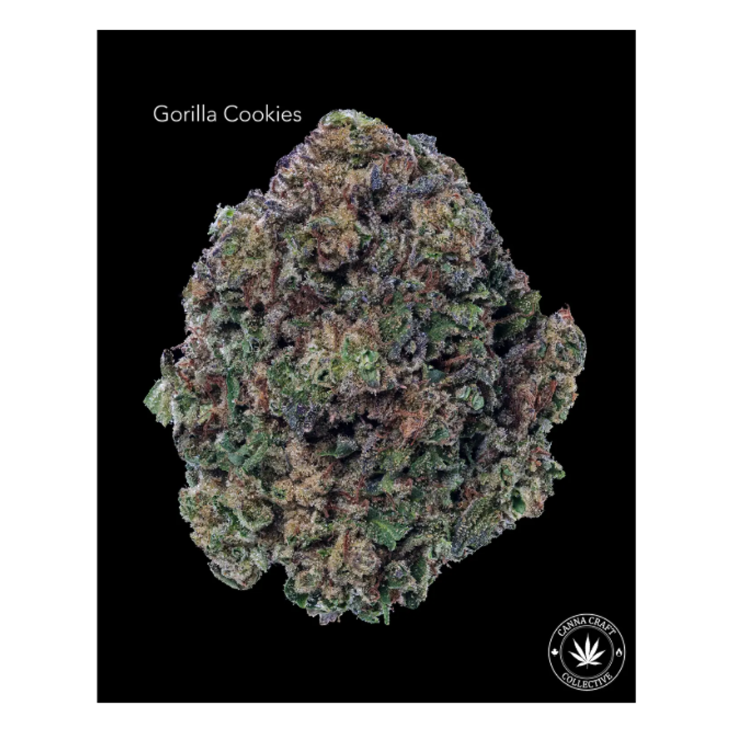 AA+ - GORILLA COOKIES