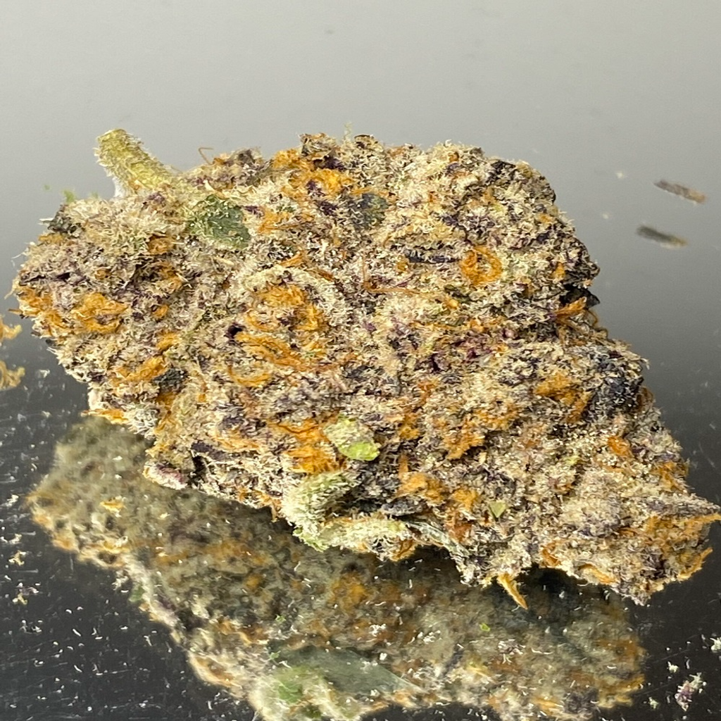 "PREMIUM GASSY " Glitter Bomb - Hybrid 60% Indica / 40% Sativa - THC 30-34%