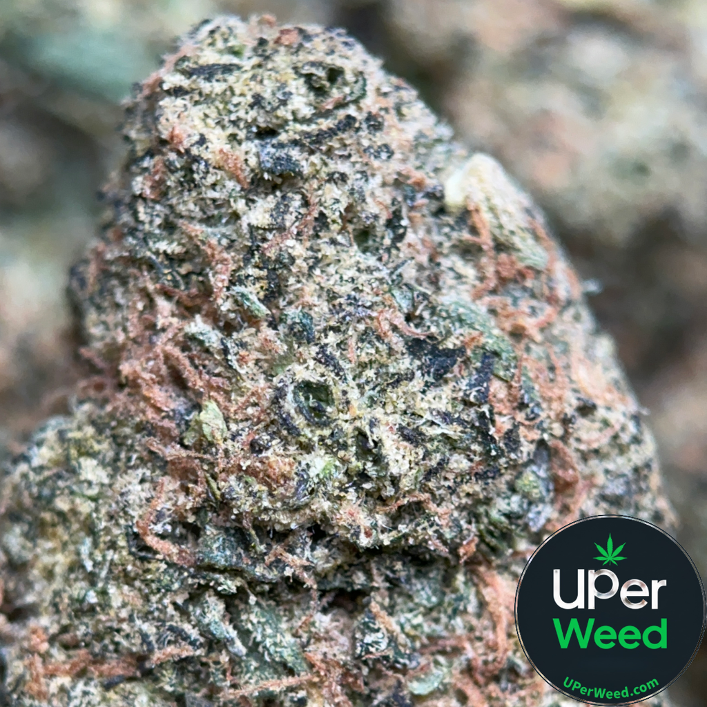 (28G) - Apple MAC 🎰🍎Indica - 2Oz Bulk Deal for $150