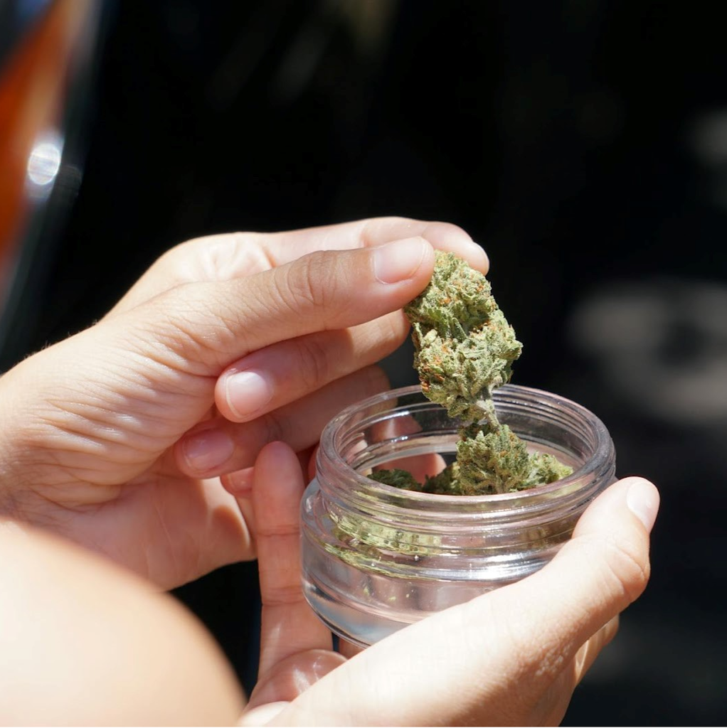 How to Find Fast and Reliable Weed Delivery in Montreal