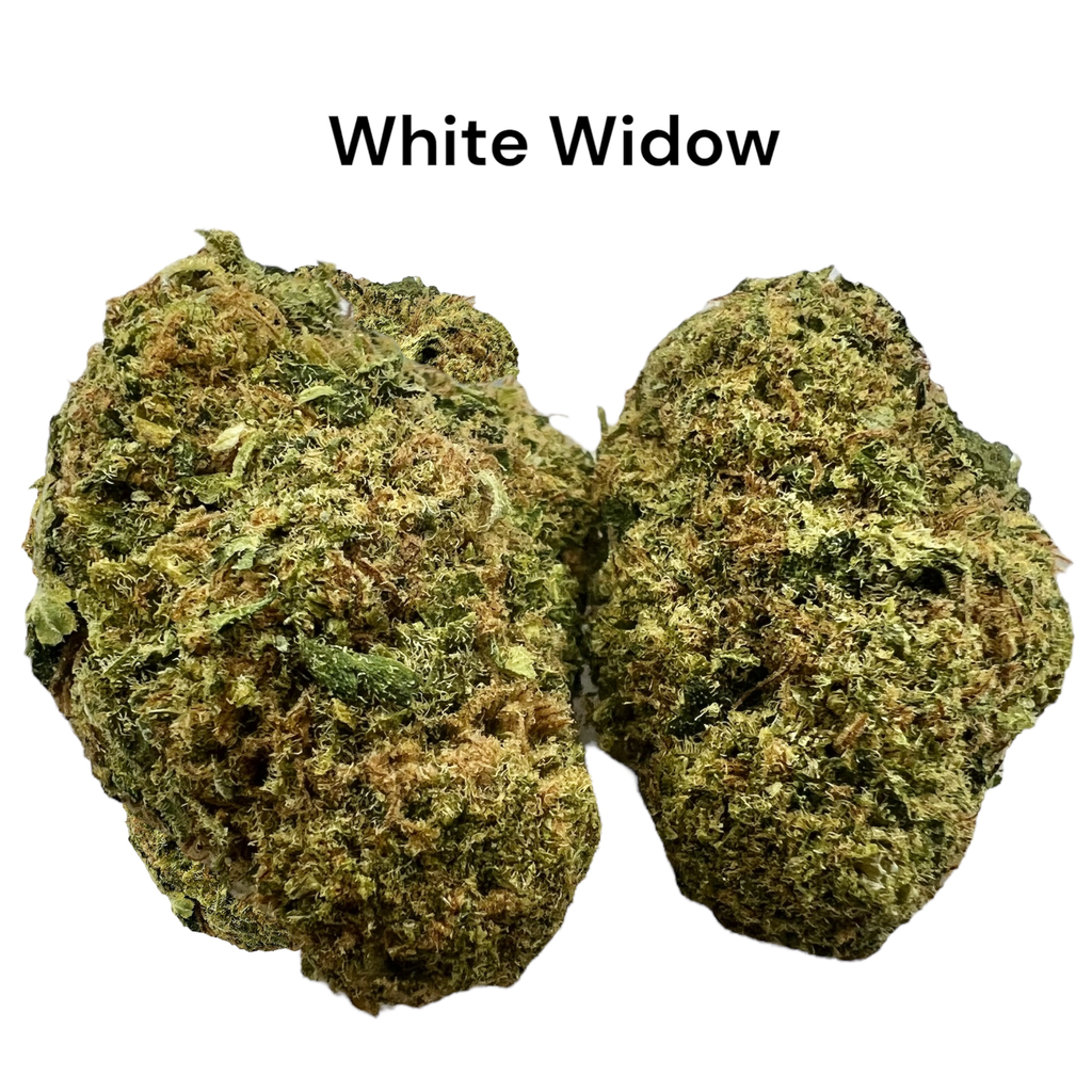 **White Widow | AA+| 27%THC| 2 OZS= $135