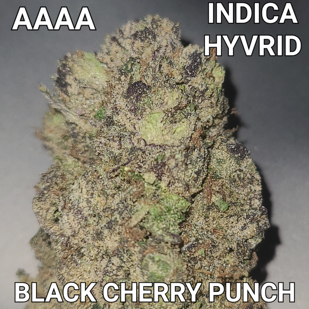 # 65% OFF  7⭐   BLACK CHERRY PUNCH × OG KUSH  AAAA (STRONG AMAZING HYBRID) ($80 OUNCE SALE) REG $250