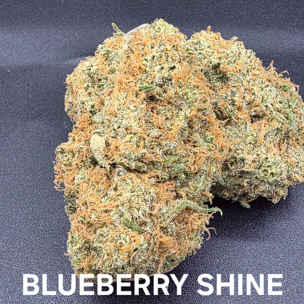 Blueberry Shine Indica Dominant 