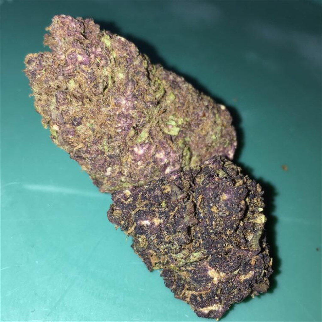 ((AA+)) Purple Mango (2oz 65$)(4oz 100$)(8oz 190$)(1lb 350$)