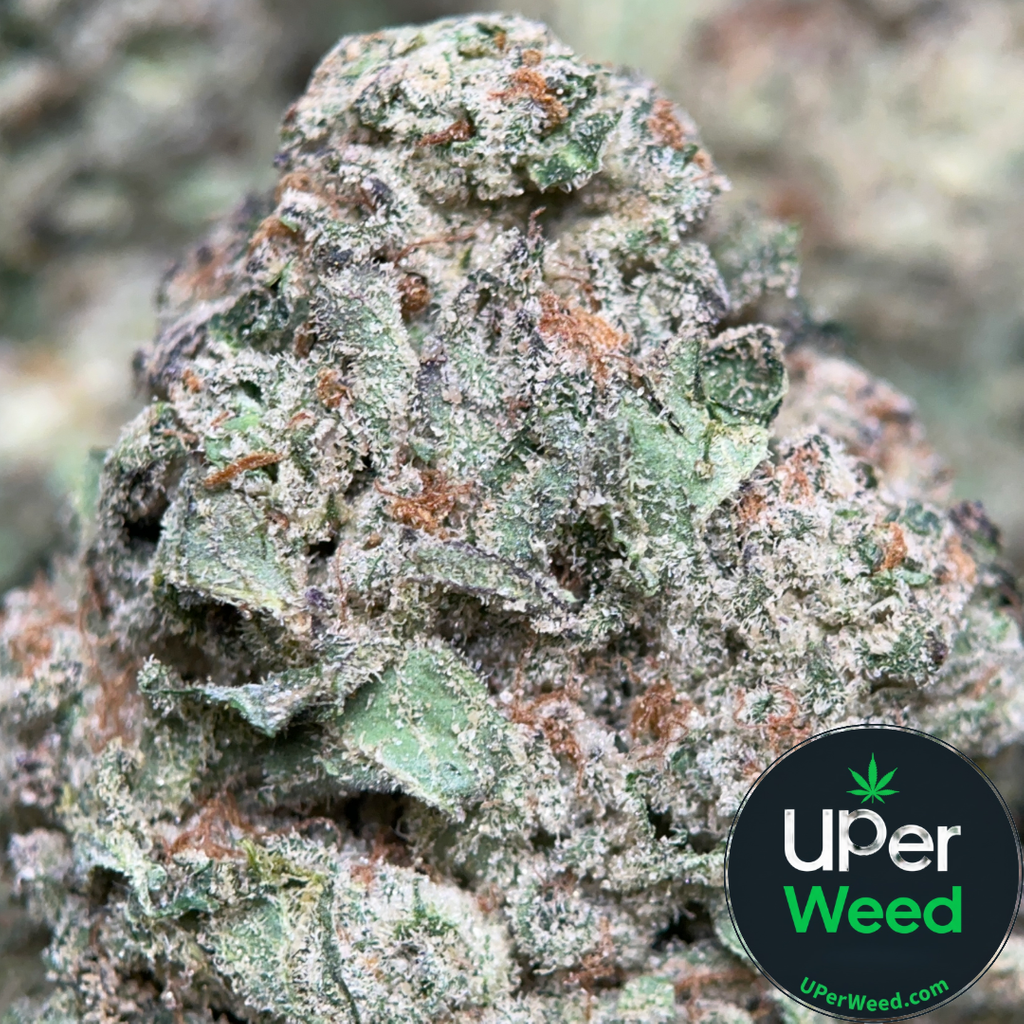 (28G) - Blue Dream 🩵💭 Sativa | 2Oz Bulk Deal for $180