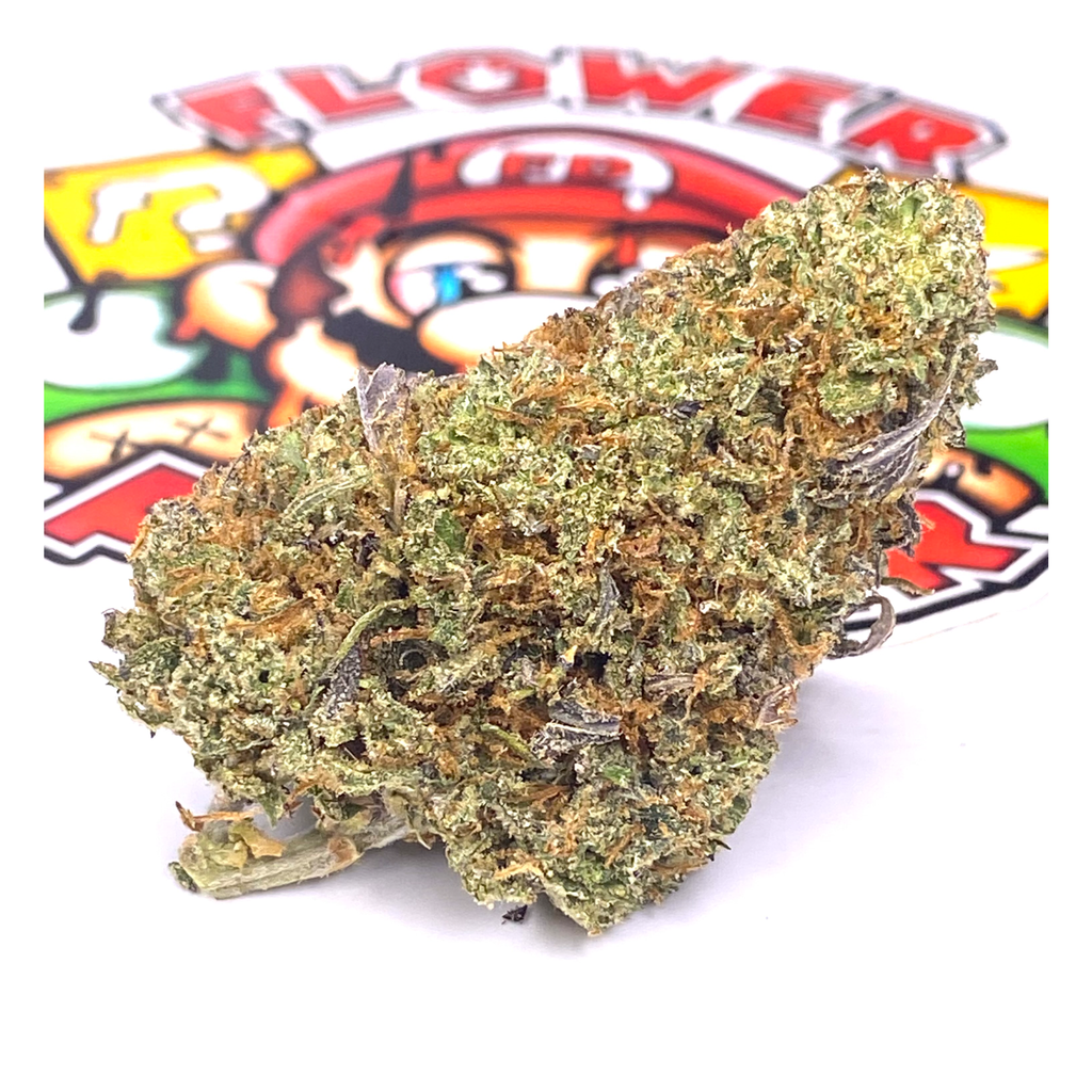 “AAAAA” Stinky Pink (SUPER LOUD) 