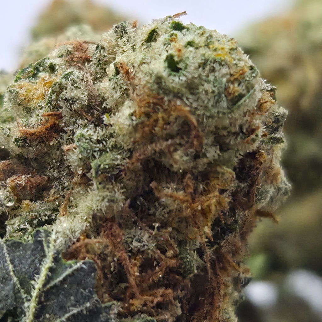 (NEW) Emerald Cookies 🍪 On Sale $70/Oz 2oz for $120 4oz for $220🔥!! 