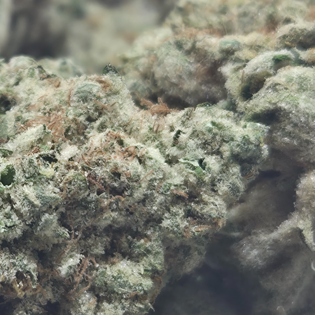 (NEW) Girl Scout Cookies 🍪 $100/0z 🔥 