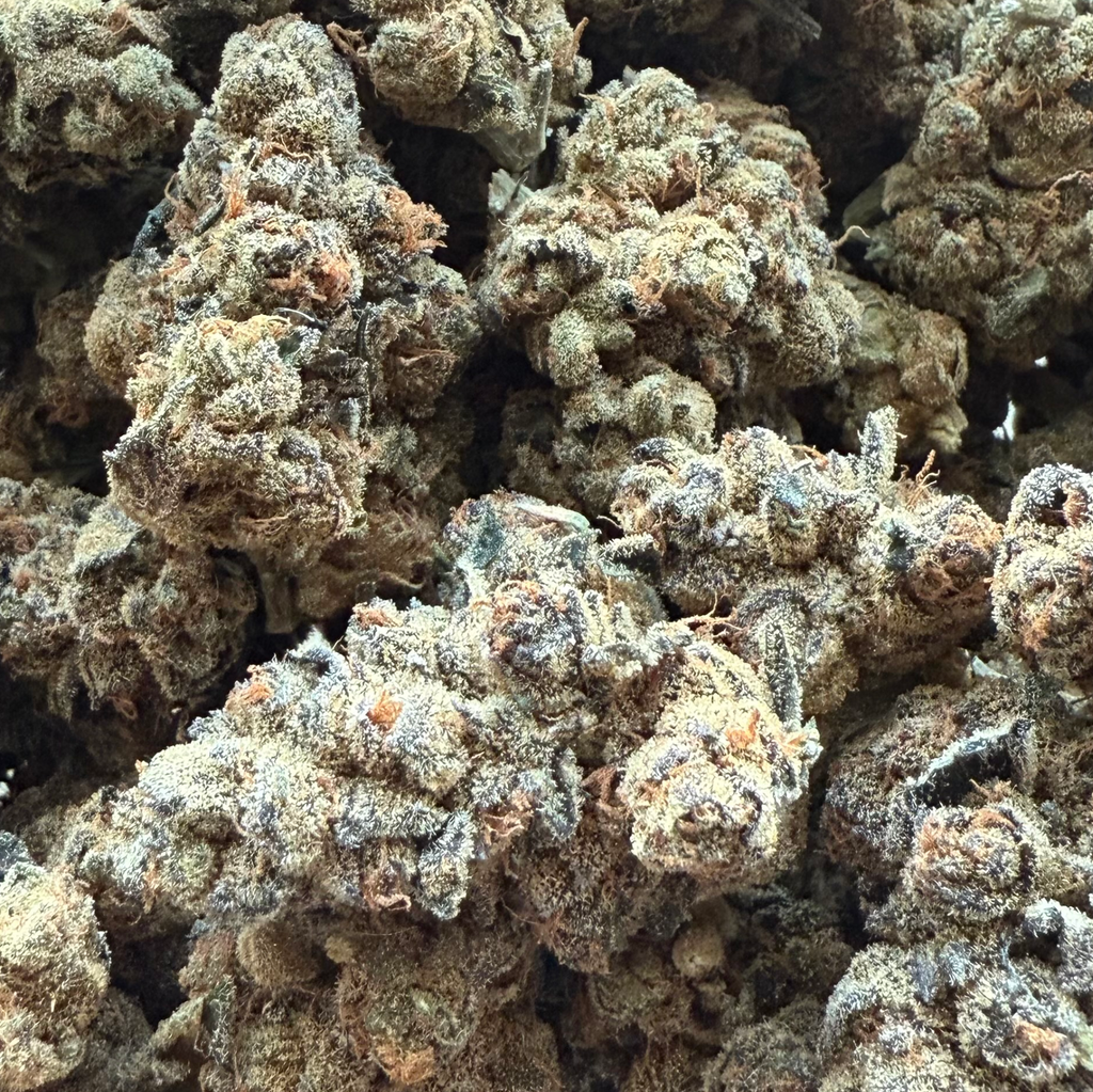 GASTROPOP ***SUPER SALE*** 60OZ 2FOR110 4FOR200 8FOR380 1LB700