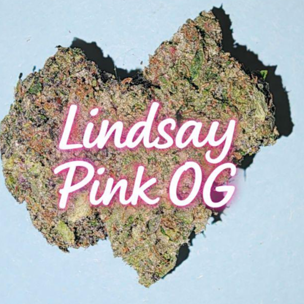 ? Lindsay Pink OG – Ultra-Gassy, Greasy, Dense Craft Indica