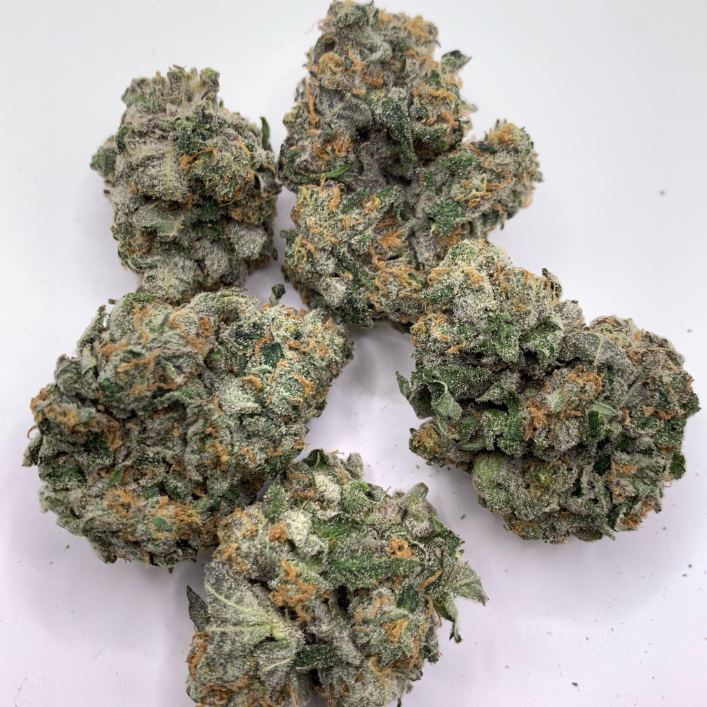 *NEW* Gastopia // 2oz $140