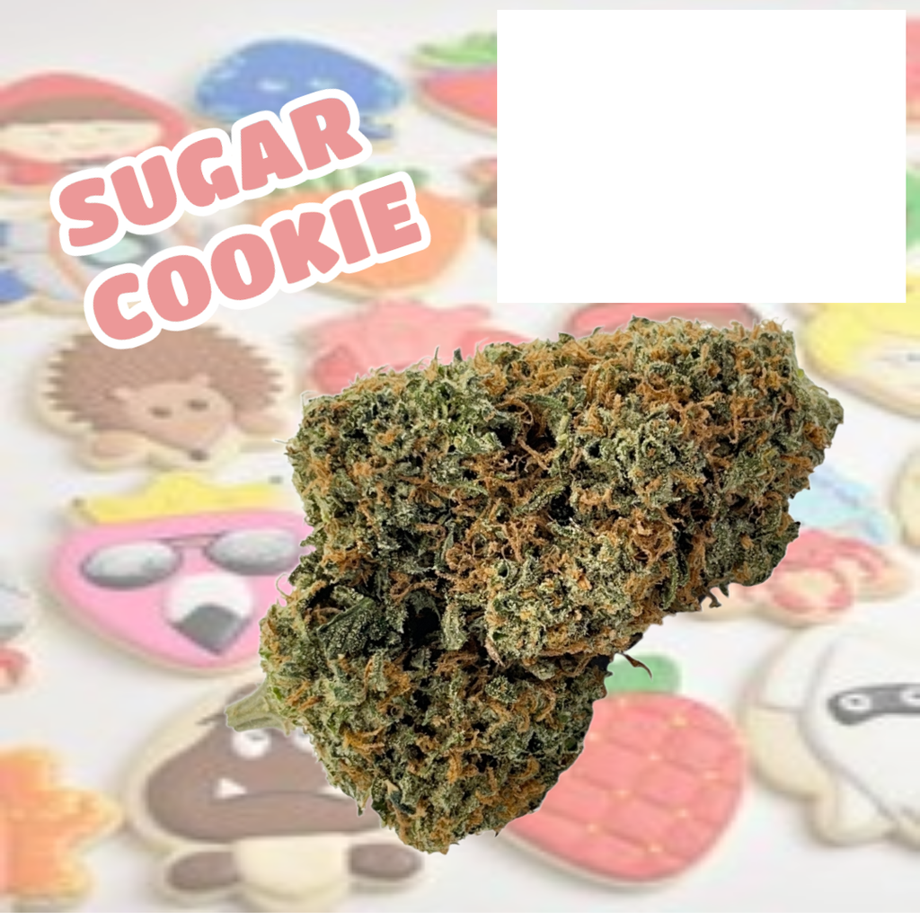 Sugar Cookie