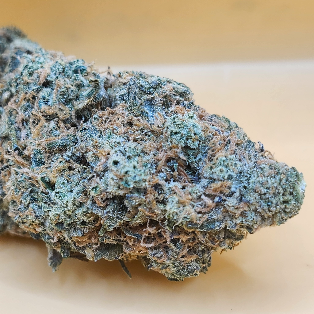 (5 STARS) Sensi star 💯🔥💣⛽️ 2 OZ FOR 250