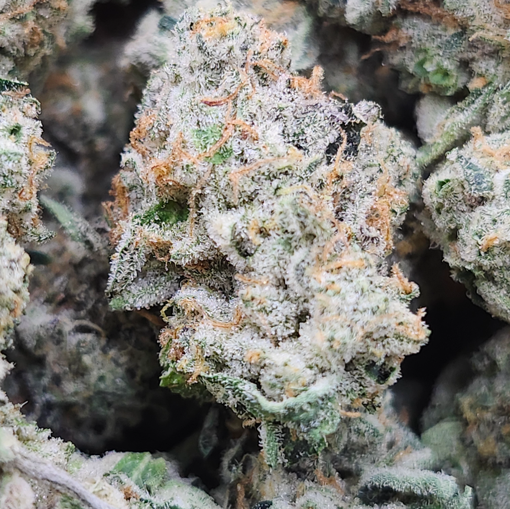 Purple Dragon 💯🔥💣⛽️ 2 oz for 200