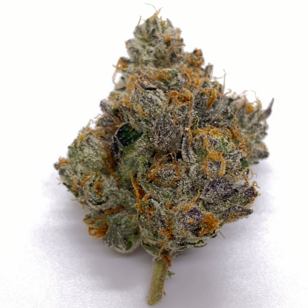 *CRAFT QUAD* Island Pink