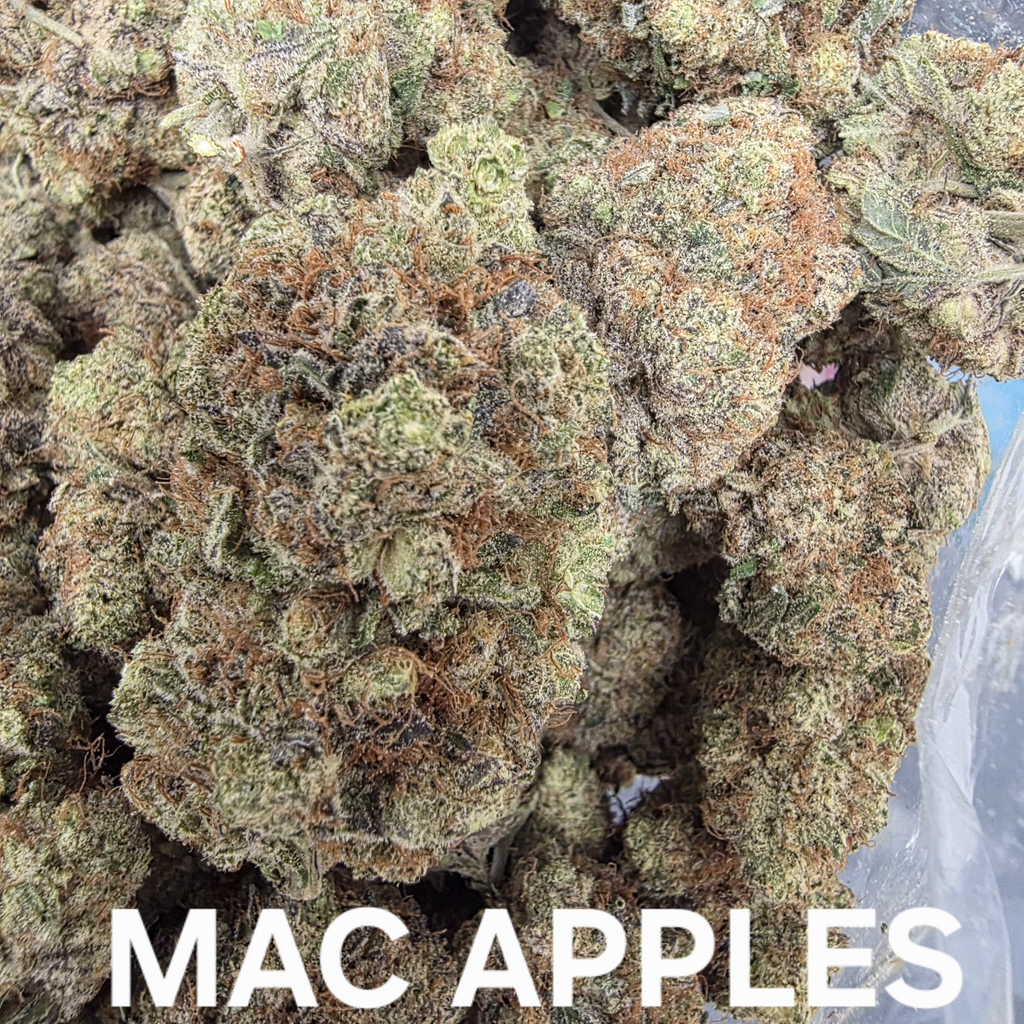 Mac Apple Indica Dominant