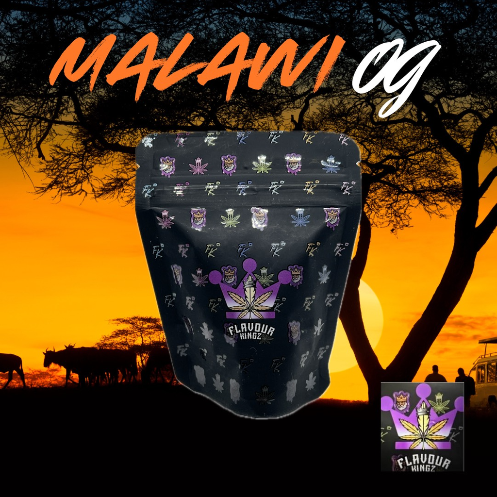 Malawi OG - Flavour Kings