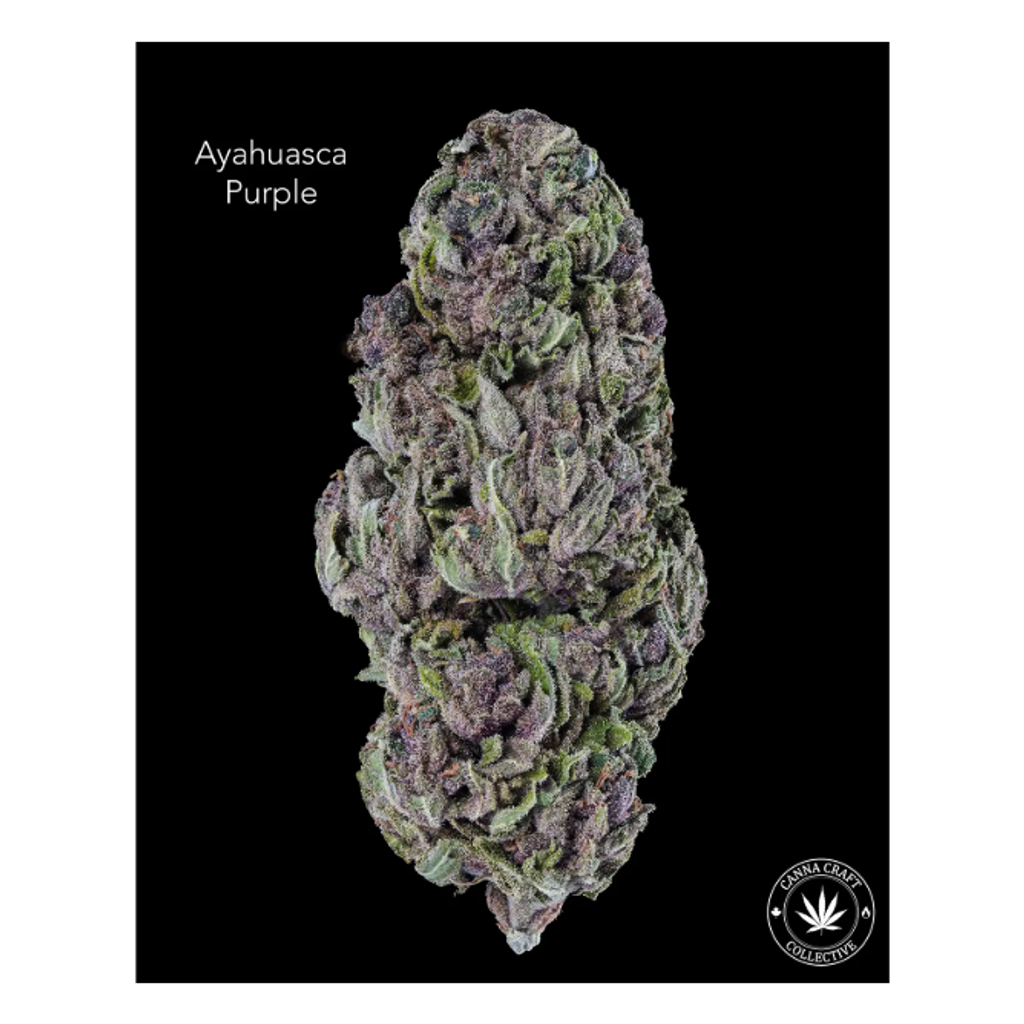 AA+ - AYAHUASCA PURPLE