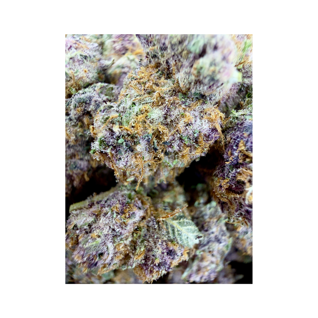 PURPLE KUSH LSO SMALLS