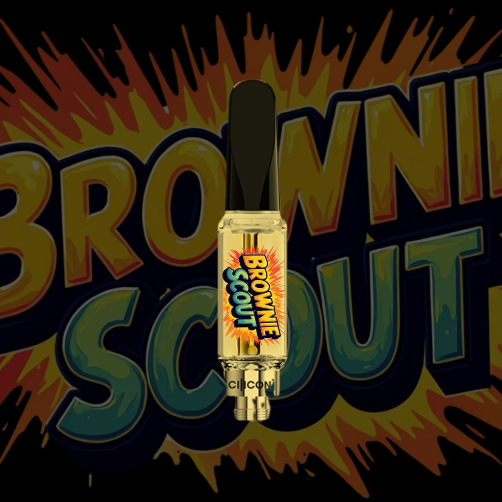 Brownie Scout