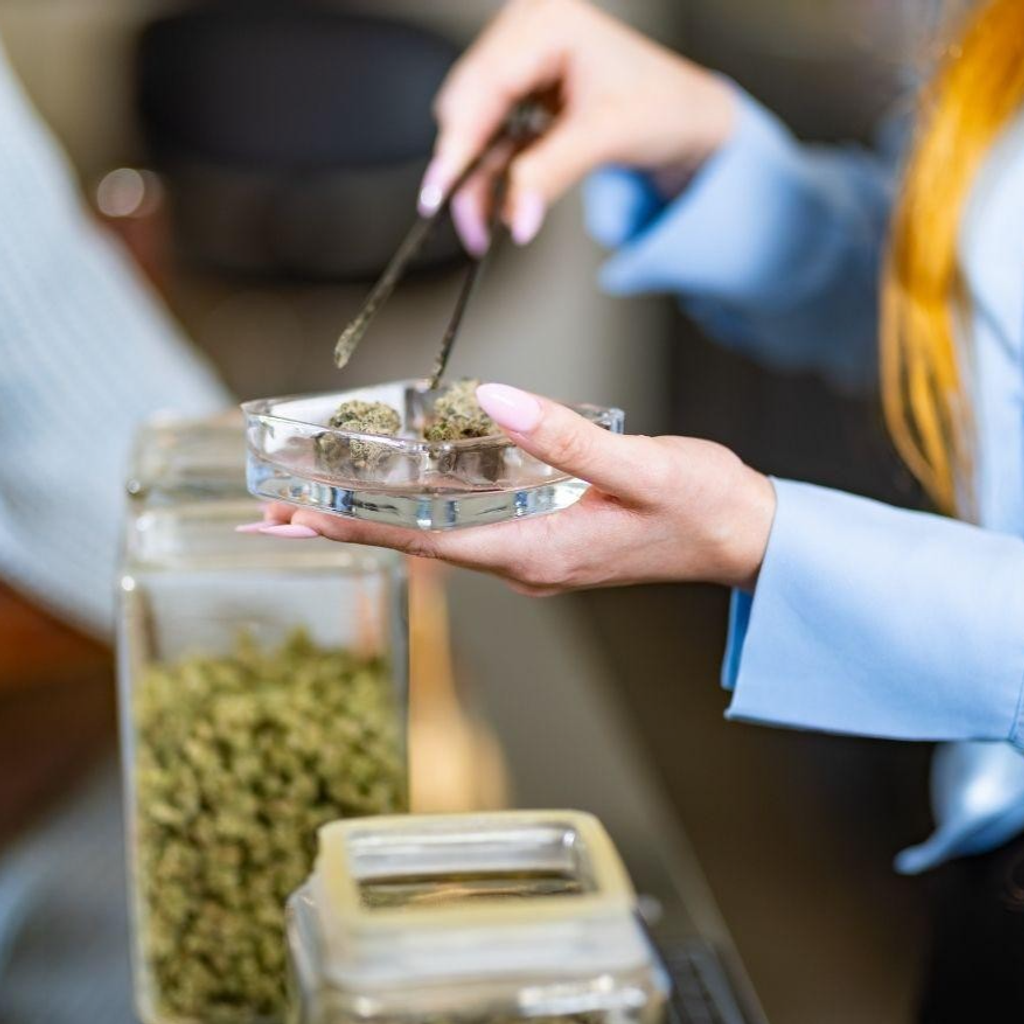 Are Red Deer’s Cannabis Delivery Options Keeping Up With Demand?