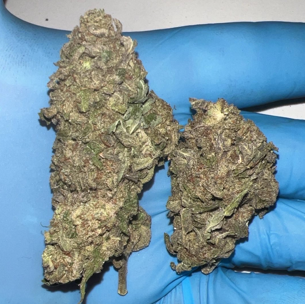 Budget friendly | Pink Gelato AAA 2 oz 109.99 | locally growing 